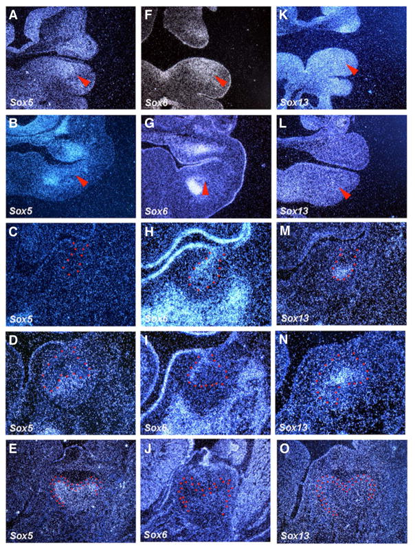 Fig. 3