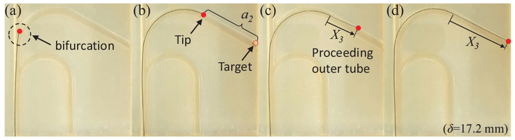 Fig. 10: