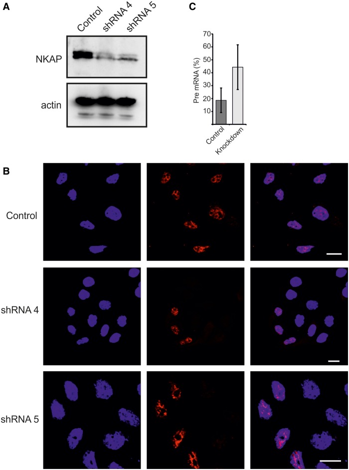 Figure 10.