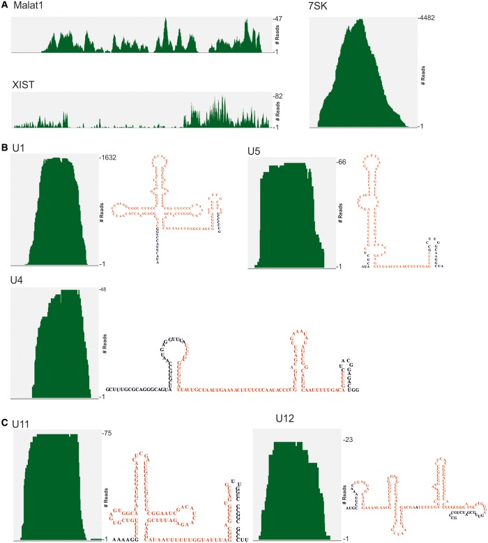 Figure 9.