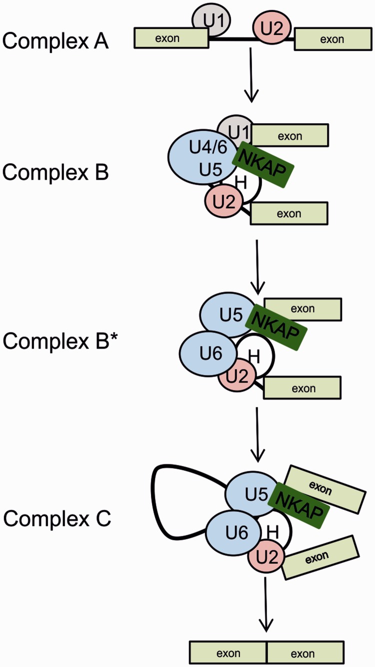 Figure 11.