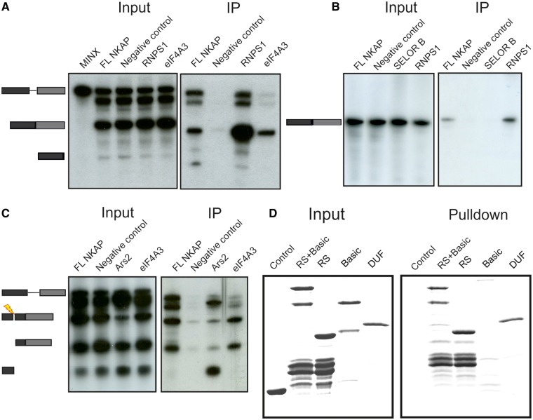 Figure 7.