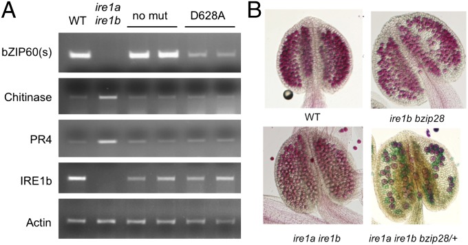 Fig. 4.