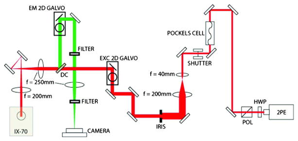 Fig. 1