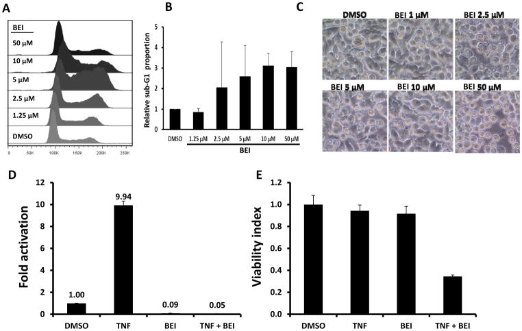 Fig. 4