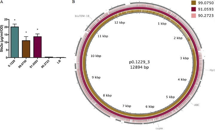 FIG 8