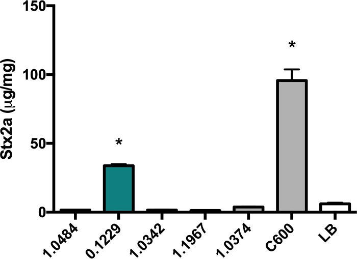 FIG 1