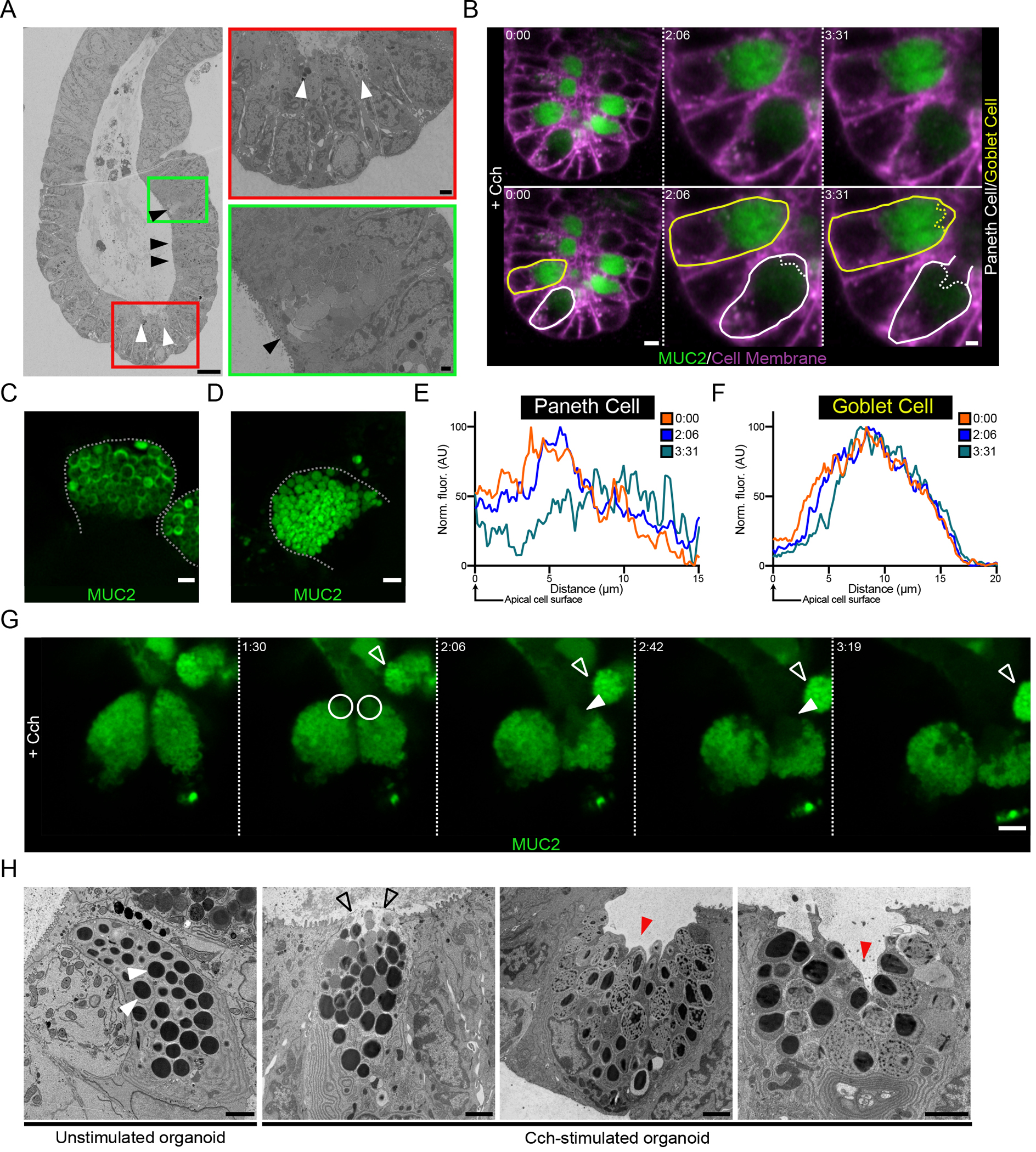 Fig. 4.