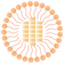 graphic file with name biomolecules-15-00088-i005.jpg