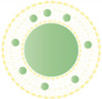 graphic file with name biomolecules-15-00088-i003.jpg