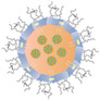 graphic file with name biomolecules-15-00088-i007.jpg