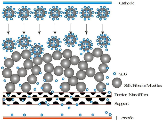 Figure 13