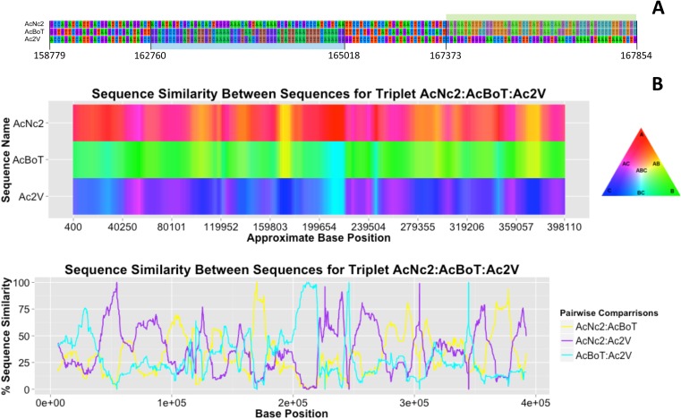 Figure 4.