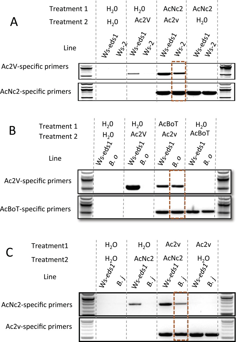 Figure 6.