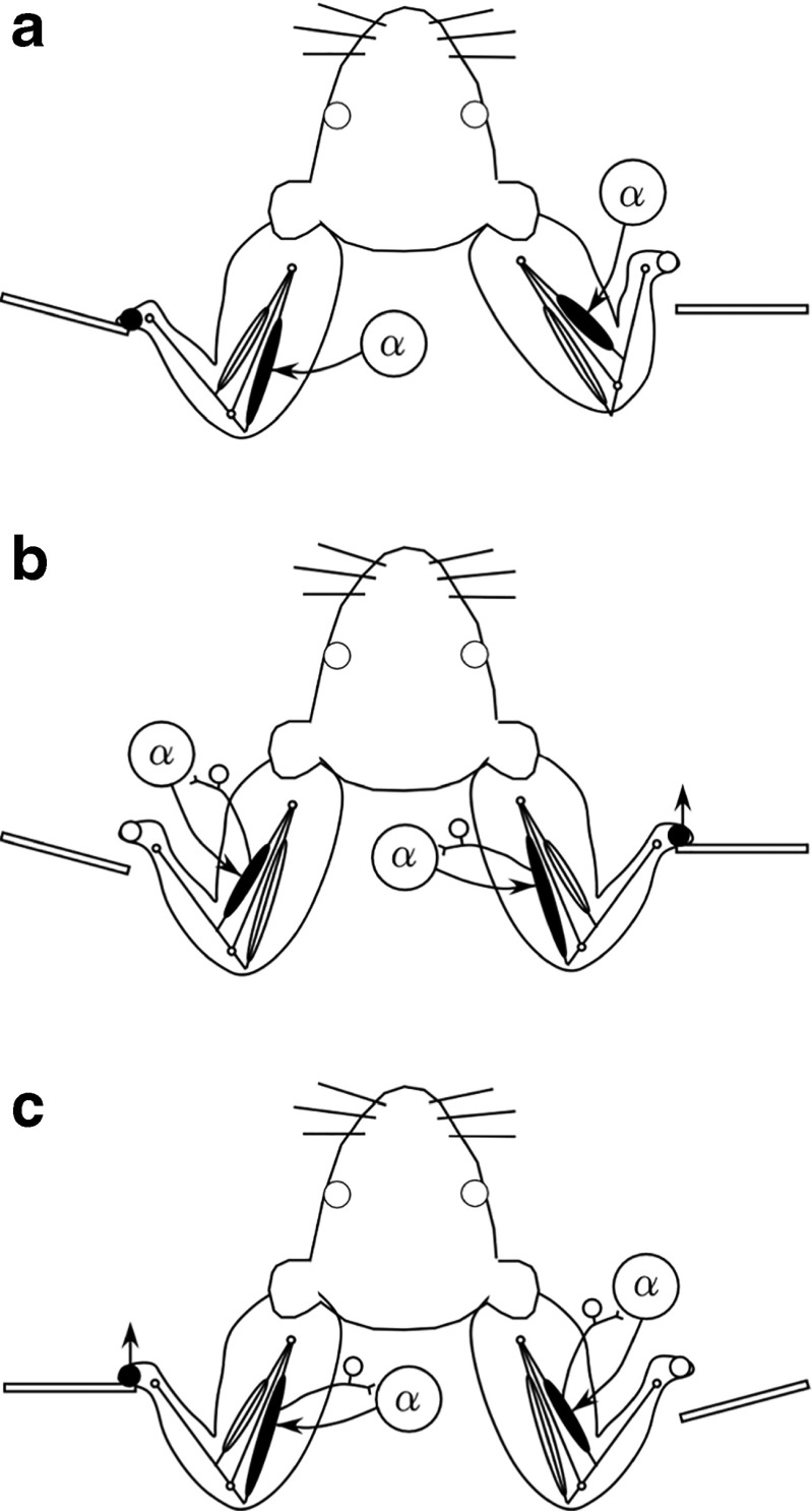 Fig. 10