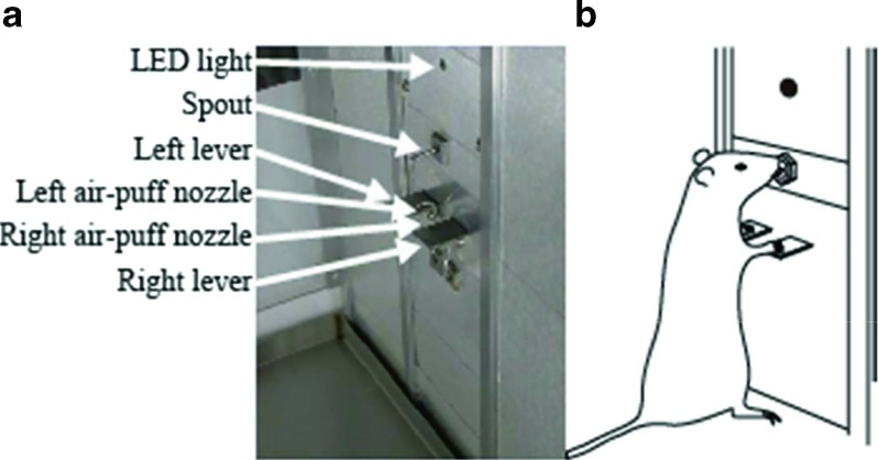 Fig. 1