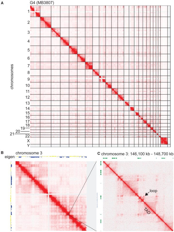 Figure 2