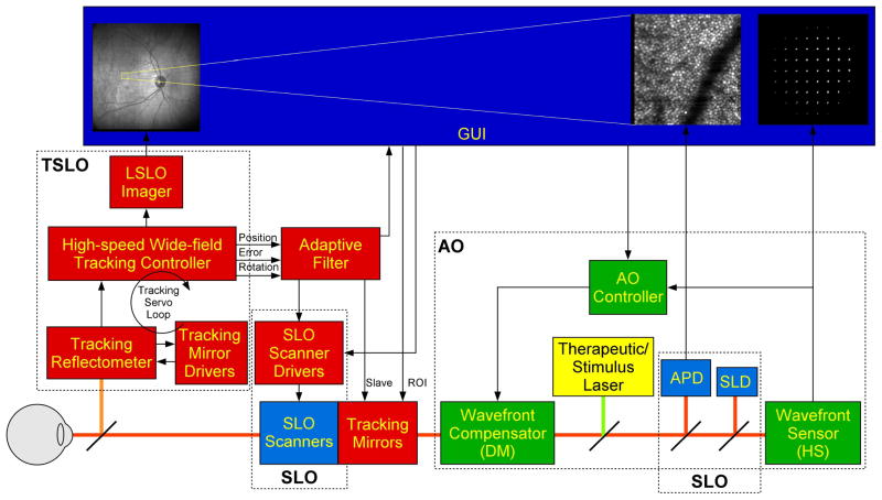 Fig. 1