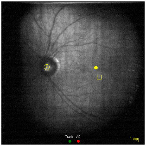 Fig. 10