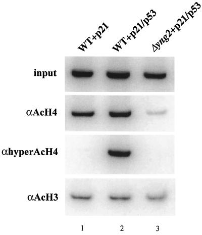 FIG. 8