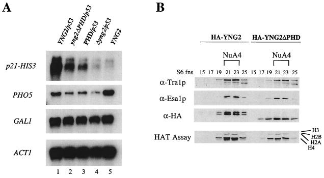 FIG. 7