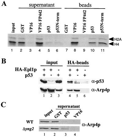 FIG. 6