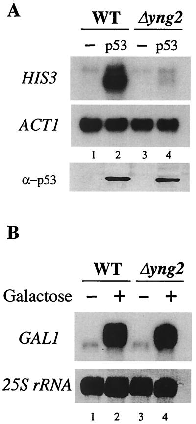 FIG. 5