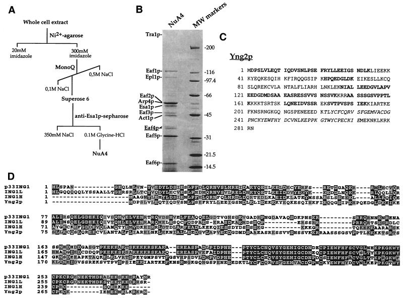 FIG. 1