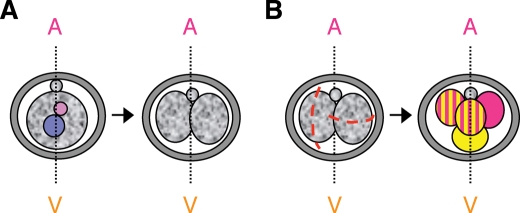 Figure 2: