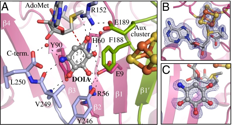 Fig. 2.