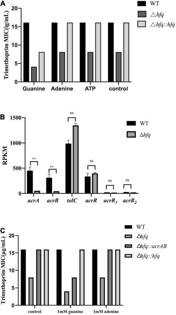 FIGURE 6