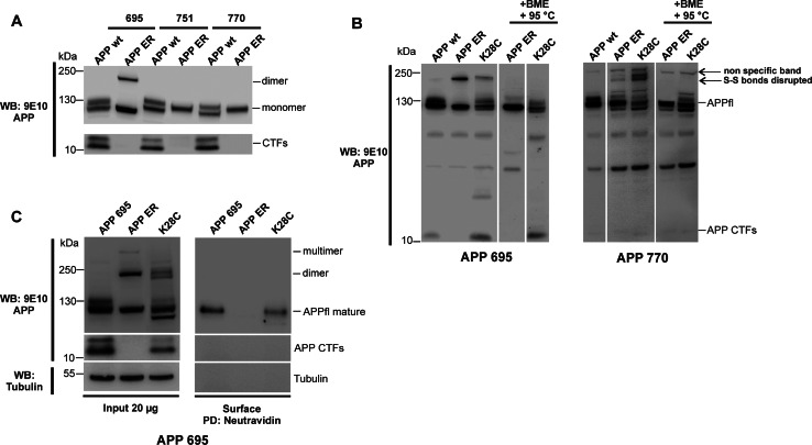 Fig. 7