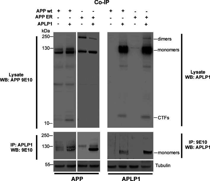 Fig. 6