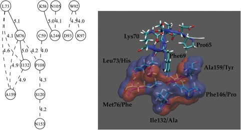 Fig. 6.