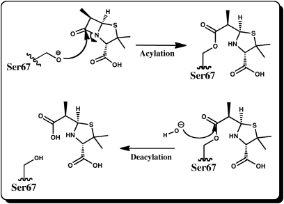 Fig. 1.