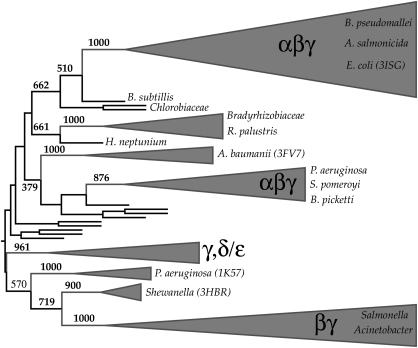 Fig. 4.