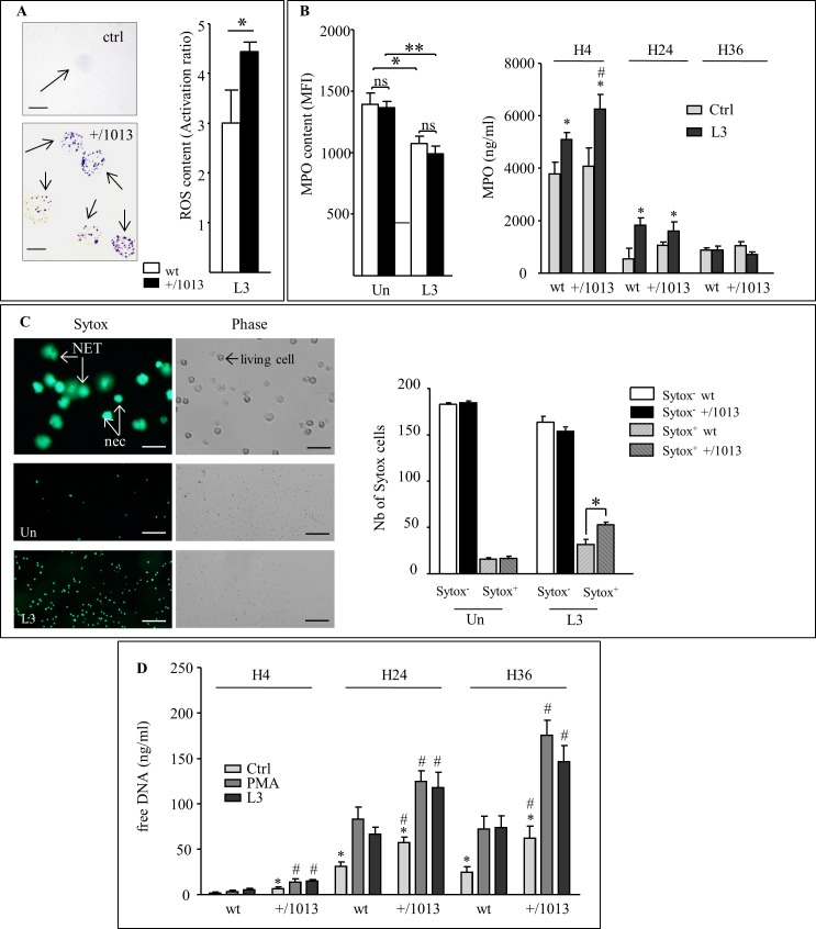 Fig 6
