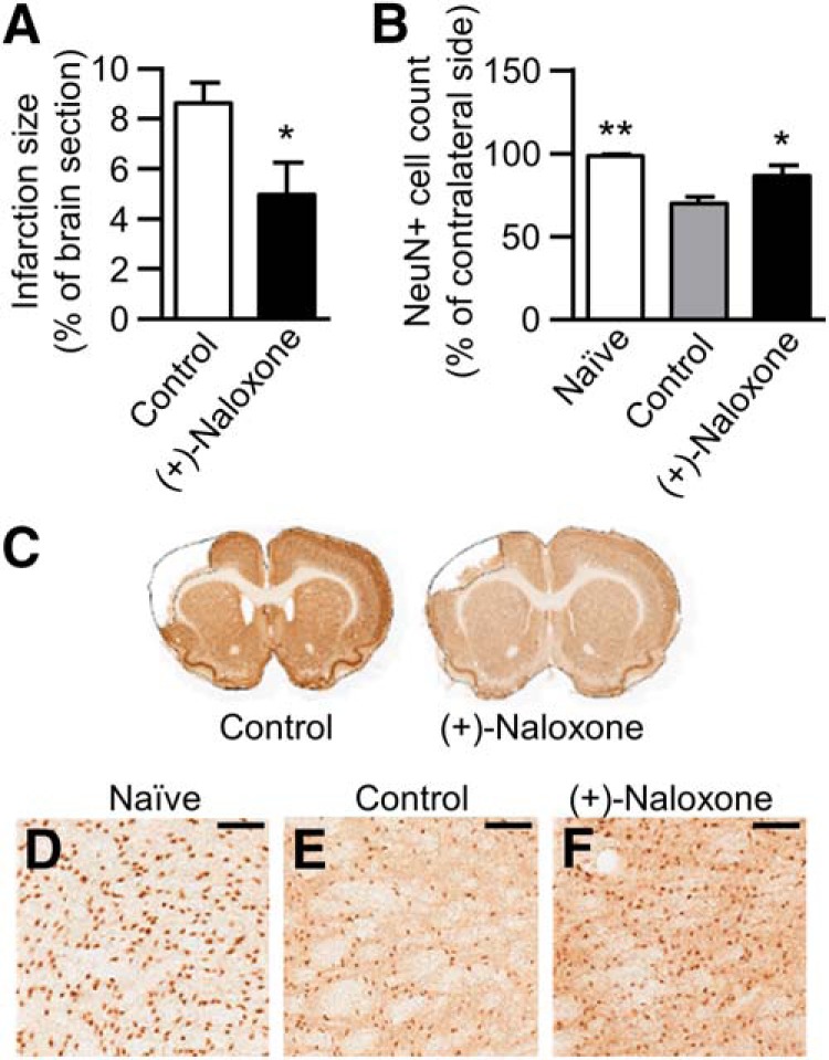 Figure 6.