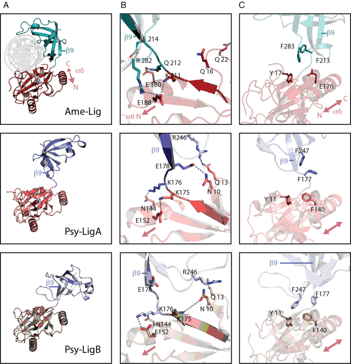 Figure 6.