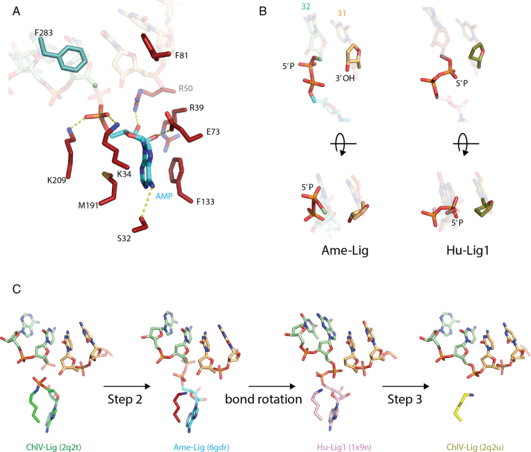 Figure 3.