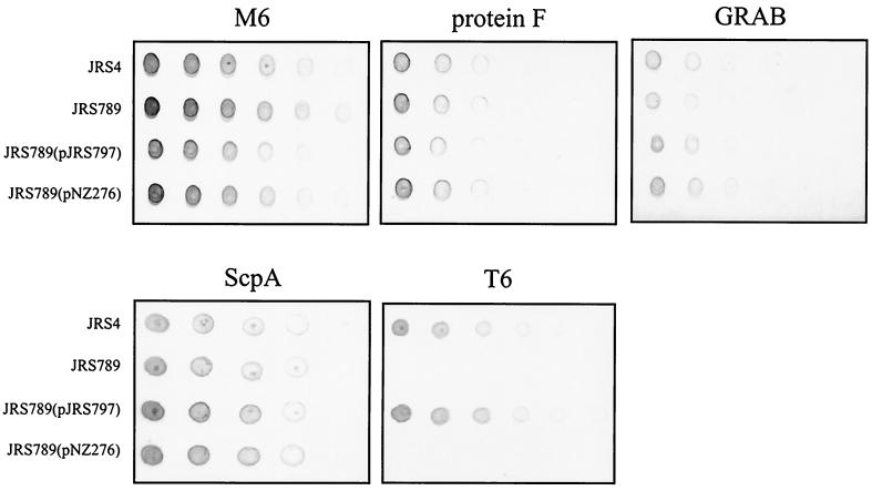 FIG. 5.