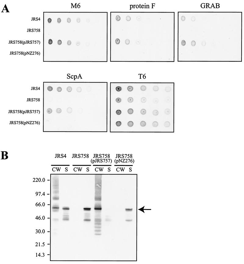 FIG. 3.