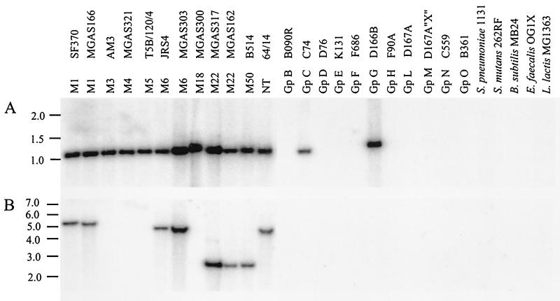 FIG. 6.