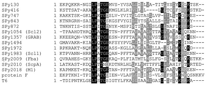 FIG. 7.