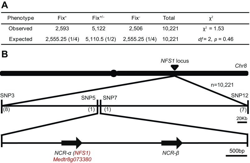 Fig. S3.