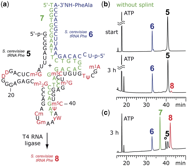 Figure 5.