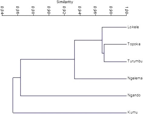 Fig. 5