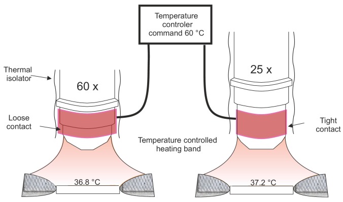 Figure 1—figure supplement 1.