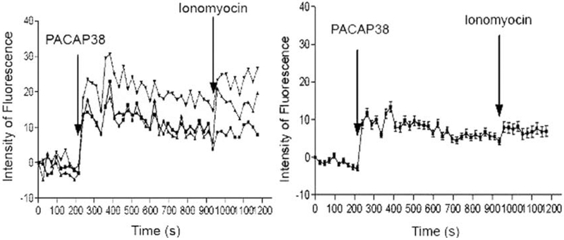 Fig. 9.