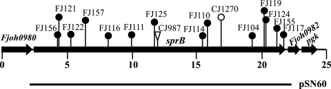 FIG. 1.